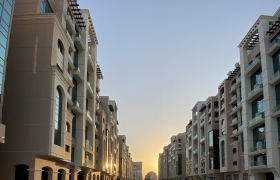 IMG-8587